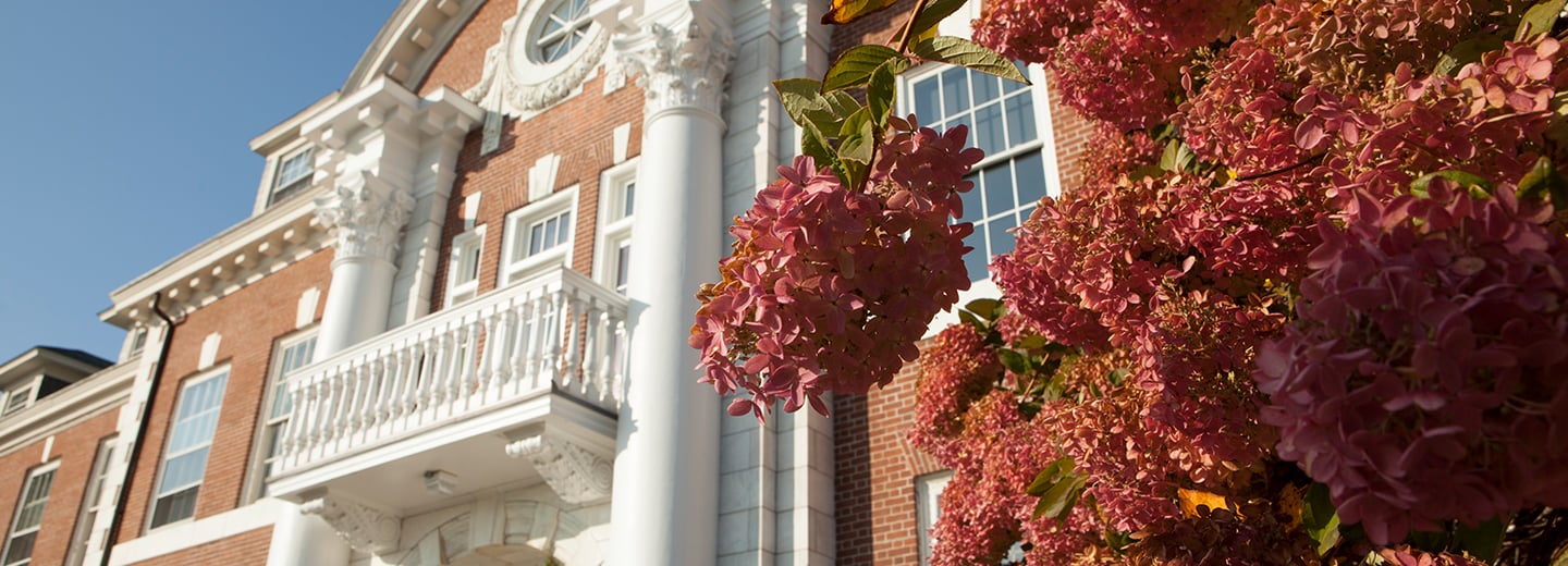 exterior of New Haven University